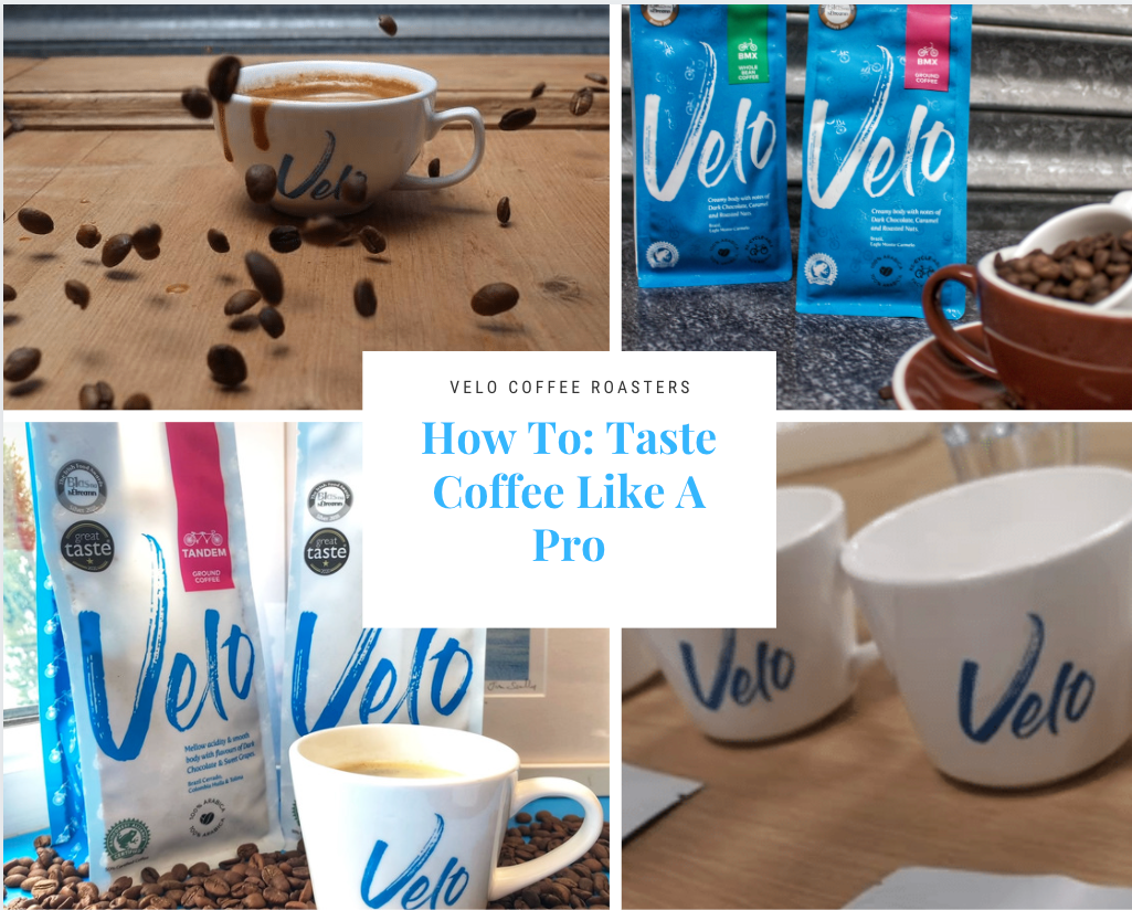 How To Taste Coffee Like a Pro
